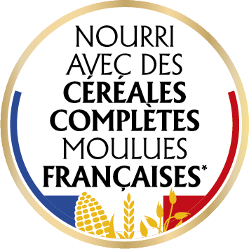 Céréales complètes moulues Françaises